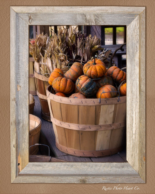 New England Harvest Pumpkins. Rustic digital Instant Download Print