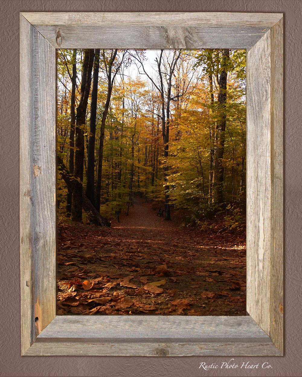 Rustic Forest Background