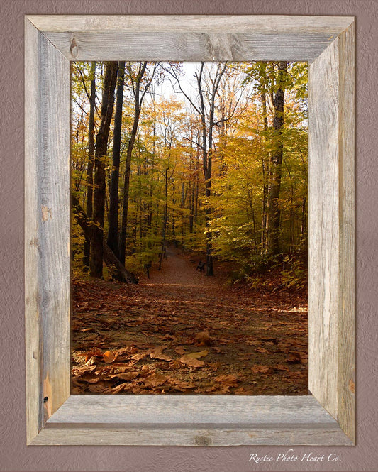 Printable Autumn Forest Trail photo, Rustic digital art print - New England print Instant Download